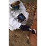 Contatore Geiger Ranger Radiation Alert® EXP con sonda